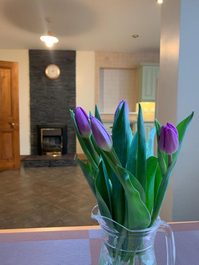 Ringfort Manor Rathfriland Eksteriør billede